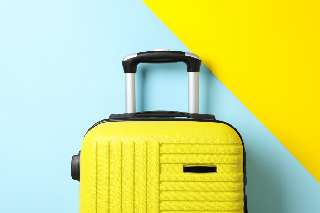 color travel bag on two tone background